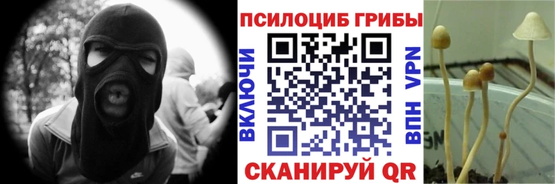 Купить закладки  Усть-Илимск  Псилоцибиновые грибы прущие грибы 