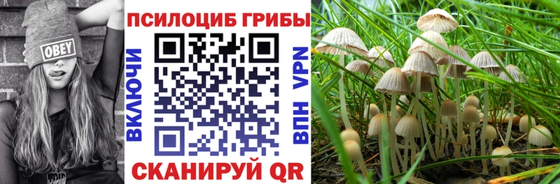 Галлюциногенные грибы Psilocybine cubensis Усть-Илимск